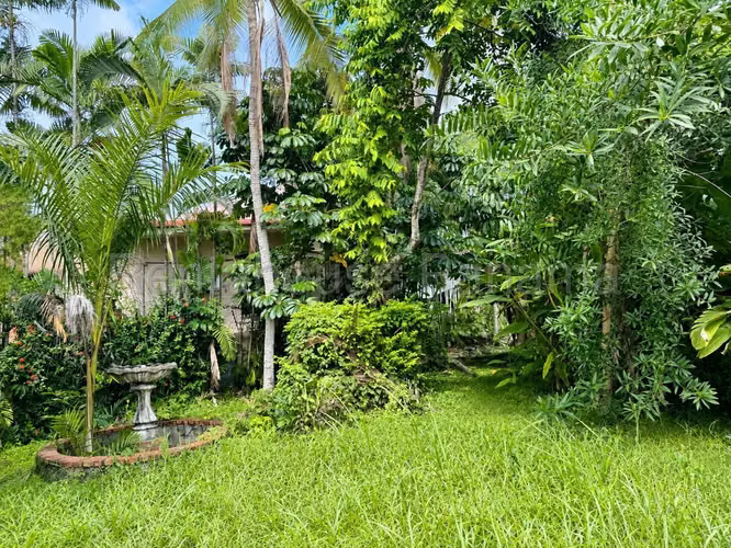 Venta Casa Altos de Golf - YD