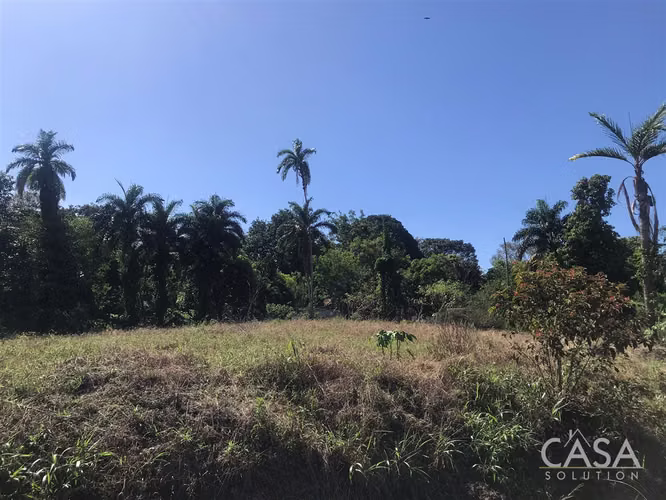 ¡Reducción de precio! –Lote Plano en Comunidad Privada “The Tropical Place” - La Concepción, Bugaba