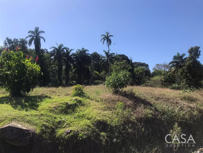 ¡Reducción de precio! –Lote Plano en Comunidad Privada “The Tropical Place” - La Concepción, Bugaba