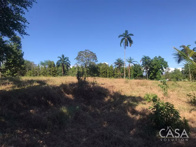 ¡Reducción de precio! –Lote Plano en Comunidad Privada “The Tropical Place” - La Concepción, Bugaba