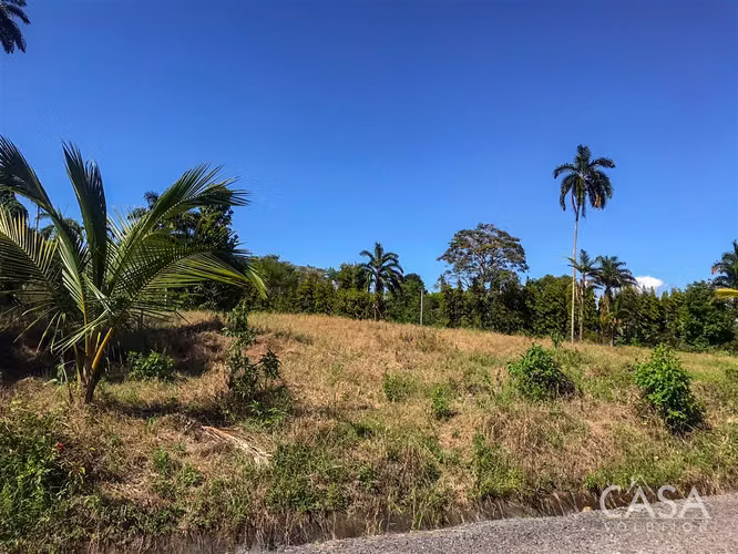 ¡Reducción de precio! –Lote Plano en Comunidad Privada “The Tropical Place” - La Concepción, Bugaba