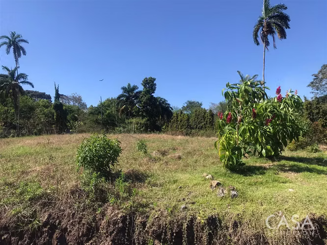 ¡Reducción de precio! –Lote Plano en Comunidad Privada “The Tropical Place” - La Concepción, Bugaba