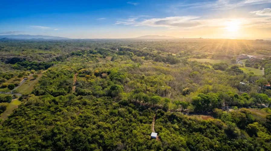 ¡Reducción de precio! 17+ Acres Reforestados con Frente al Río- San Carlos - Imagen 11