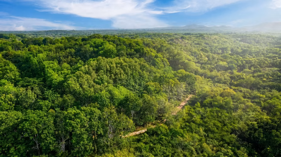 ¡Reducción de precio! 17+ Acres Reforestados con Frente al Río- San Carlos - Imagen 9