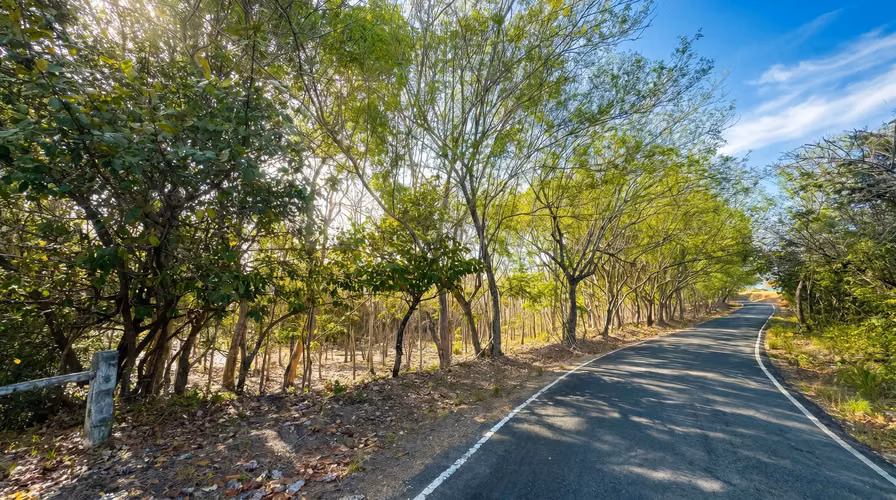 ¡Reducción de precio! 17+ Acres Reforestados con Frente al Río- San Carlos - Imagen 17