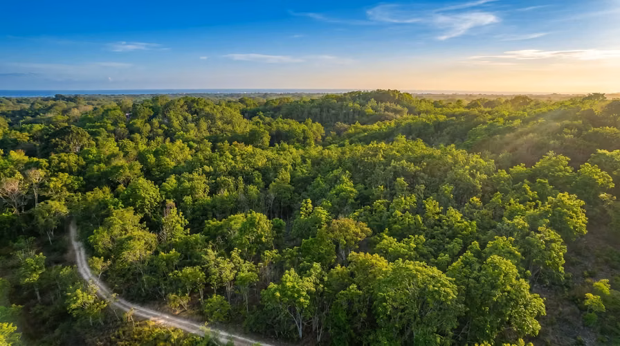 ¡Reducción de precio! 17+ Acres Reforestados con Frente al Río- San Carlos - Imagen 6