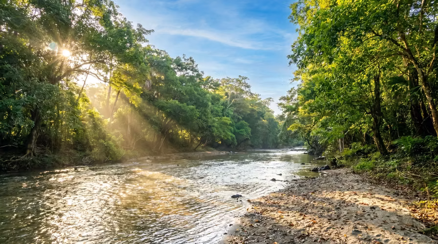 ¡Reducción de precio! 17+ Acres Reforestados con Frente al Río- San Carlos - Imagen 4