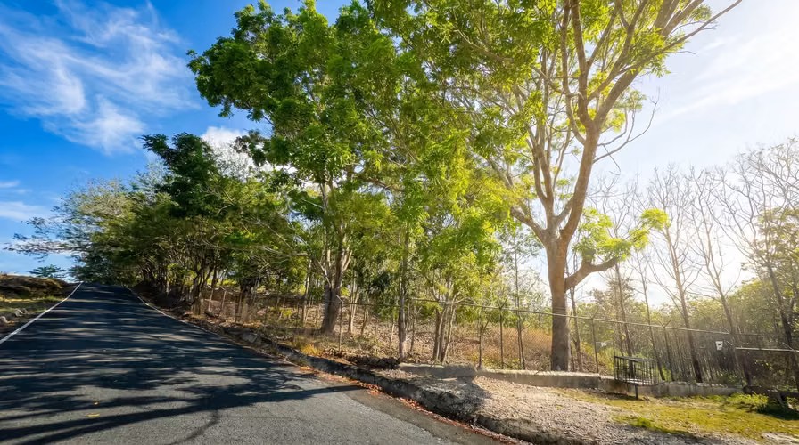 ¡Reducción de precio! 17+ Acres Reforestados con Frente al Río- San Carlos - Imagen 18