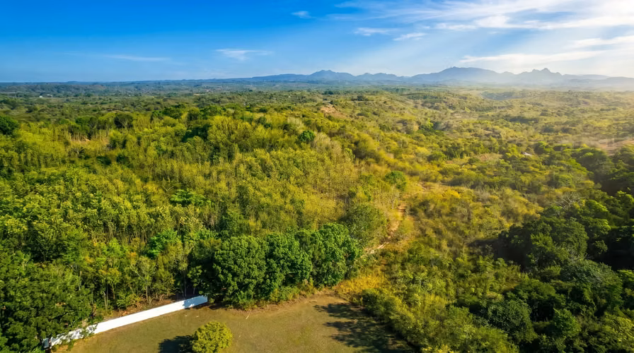 ¡Reducción de precio! 17+ Acres Reforestados con Frente al Río- San Carlos - Imagen 7