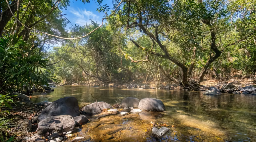 ¡Reducción de precio! 17+ Acres Reforestados con Frente al Río- San Carlos - Imagen 5