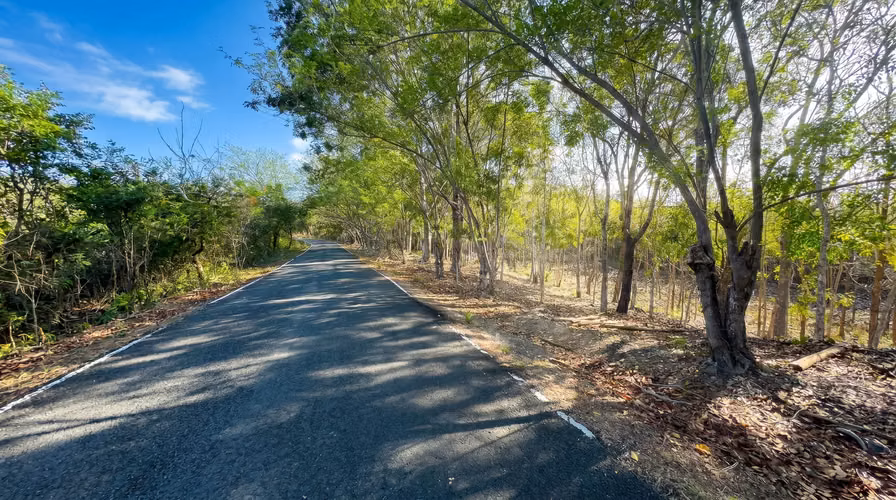 ¡Reducción de precio! 17+ Acres Reforestados con Frente al Río- San Carlos - Imagen 15