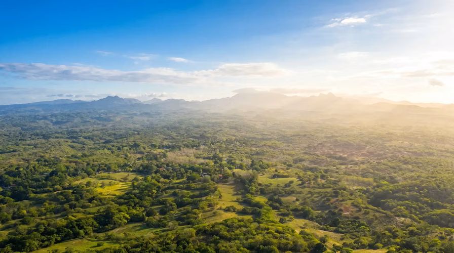 ¡Reducción de precio! 17+ Acres Reforestados con Frente al Río- San Carlos - Imagen 10