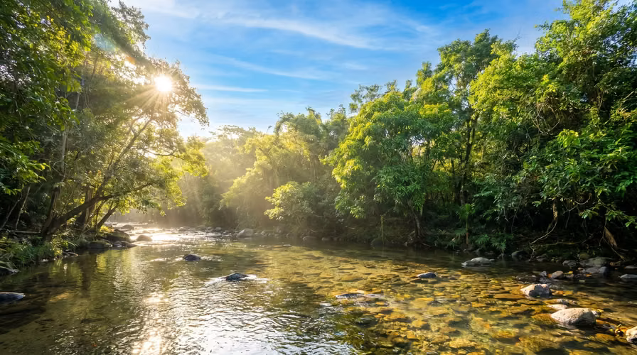 ¡Reducción de precio! 17+ Acres Reforestados con Frente al Río- San Carlos - Imagen 8