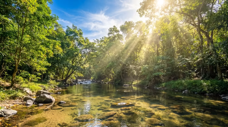 ¡Reducción de precio! 17+ Acres Reforestados con Frente al Río- San Carlos - Imagen 3