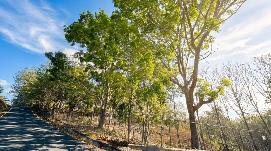 ¡Reducción de precio! 17+ Acres Reforestados con Frente al Río- San Carlos - Imagen 14