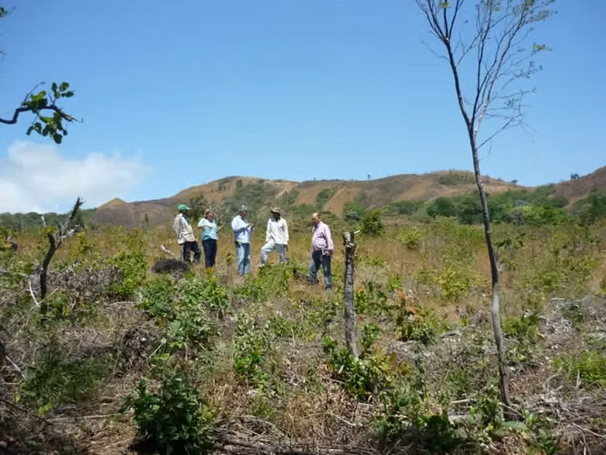 GANGA $8m2, Terreno San Carlos con Vista a las Montañas | Ideal para Desarrollo Residencial - Imagen 4