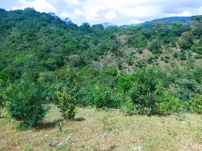 VENDO HERMOSA FINCA EN CALOBRE DE 55 HECTÁREAS EN CALOBRE