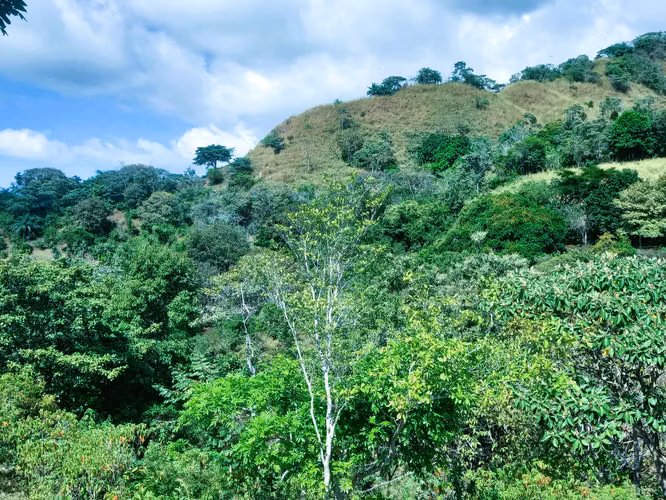 VENDO HERMOSA FINCA EN CALOBRE DE 55 HECTÁREAS EN CALOBRE