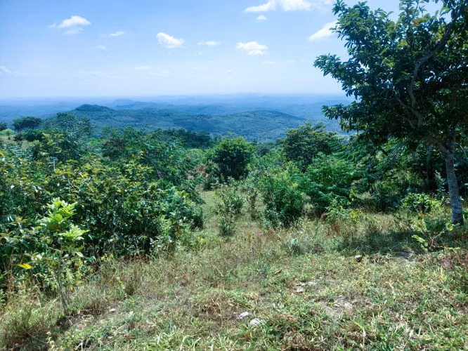 VENDO HERMOSA FINCA EN CALOBRE DE 55 HECTÁREAS EN CALOBRE