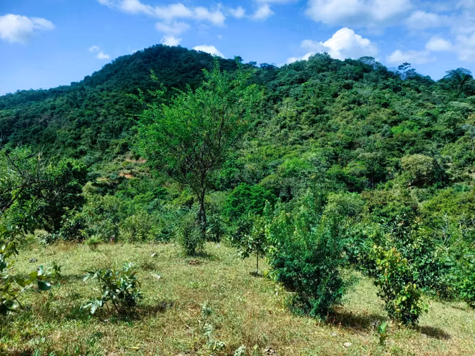 VENDO HERMOSA FINCA EN CALOBRE DE 55 HECTÁREAS EN CALOBRE