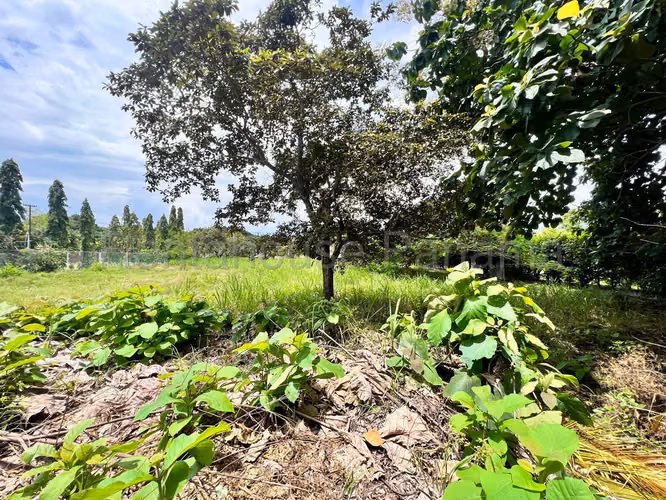 VENTA DE TERRENO EN GORGONA ABS - Imagen 2