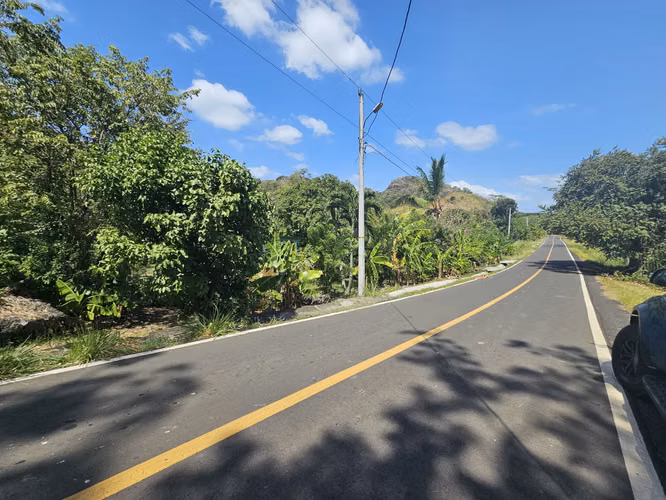 Se Vende Finca de 4 hectáreas en Capira, Cermeño (DR) - Imagen 10