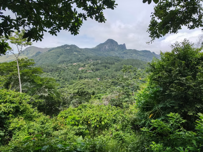 Vida en la Montaña: Privacidad, Naturaleza y Vistas al Picacho