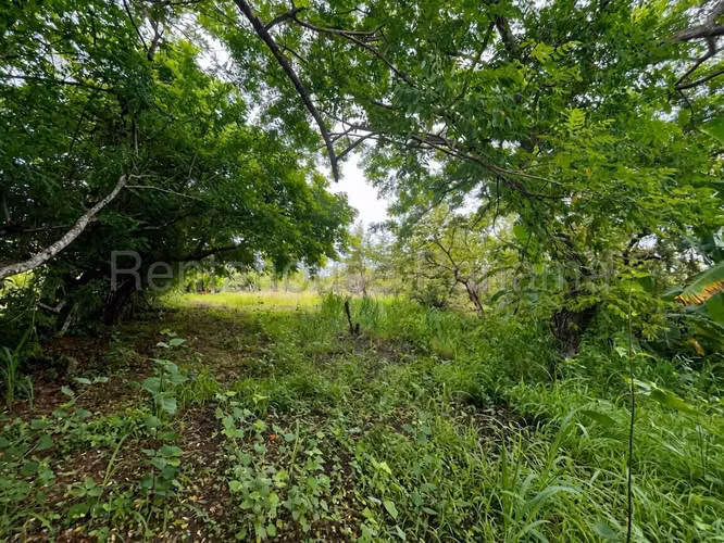 VENTA DE TERRENO EN COCLE DDB27-1339 - Imagen 7