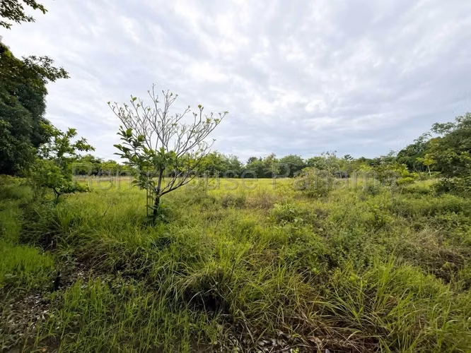 VENTA DE TERRENO EN COCLE DDB27-1339 - Imagen 6