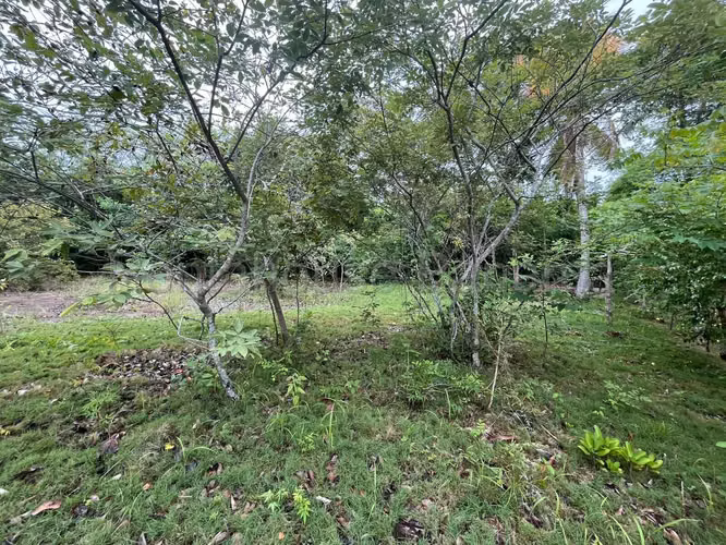VENTA DE TERRENO EN COCLE DDB27-1339 - Imagen 14