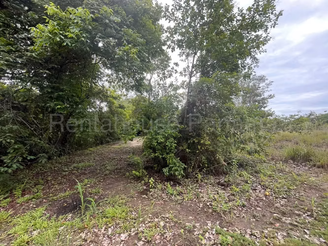 VENTA DE TERRENO EN COCLE DDB27-1339 - Imagen 16