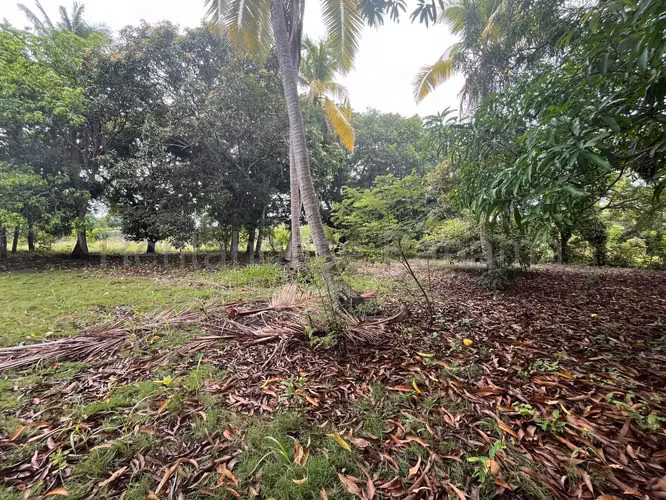 VENTA DE TERRENO EN COCLE DDB27-1339 - Imagen 18
