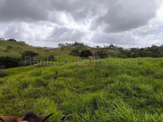 VENTA DE TERRENO EN LIDICE DDB26-5772 - Imagen 2