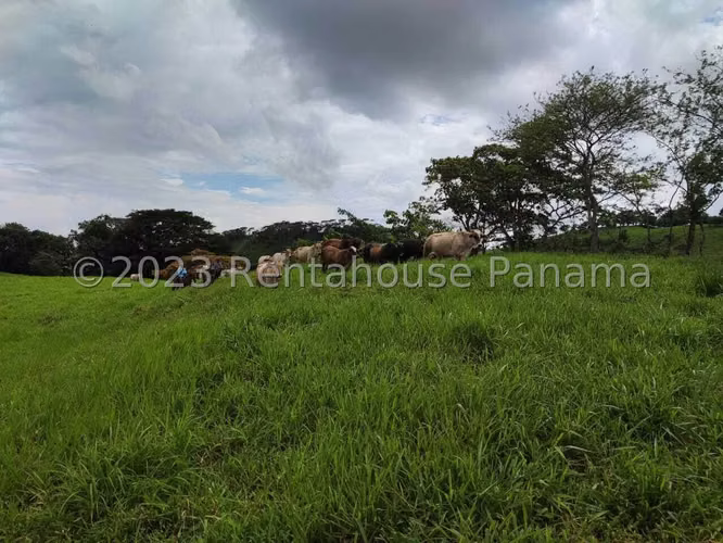 VENTA DE TERRENO EN LIDICE DDB26-5772 - Imagen 7
