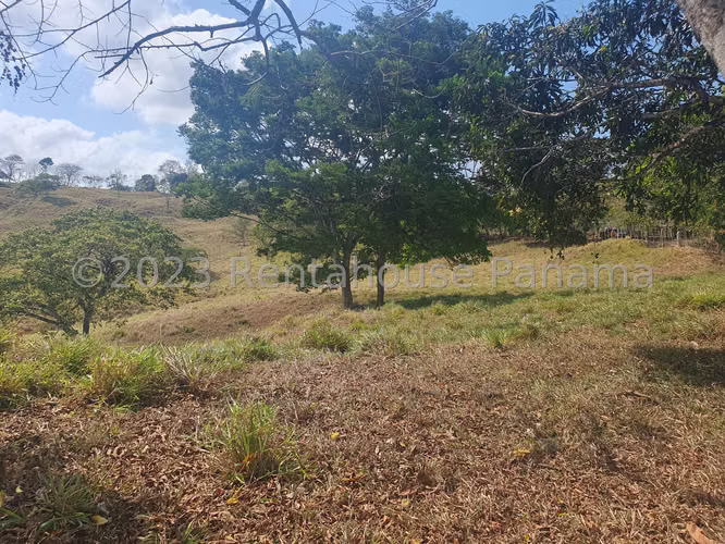 VENTA DE TERRENO EN LIDICE DDB26-5772 - Imagen 18