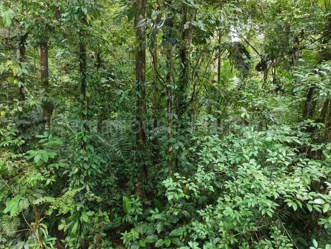 Terreno En Venta En La Pintada YM