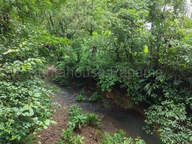 Terreno En Venta En La Pintada YM