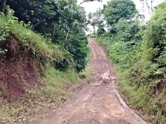 Terreno En Venta En La Pintada YM