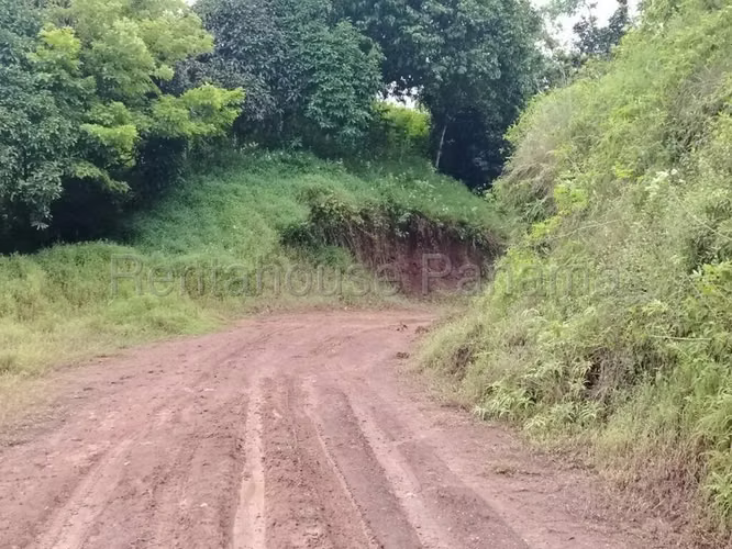 Terreno En Venta En La Pintada YM