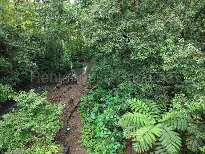 Terreno En Venta En La Pintada YM