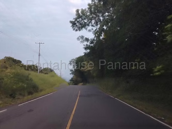 Terreno En Venta En La Pintada YM