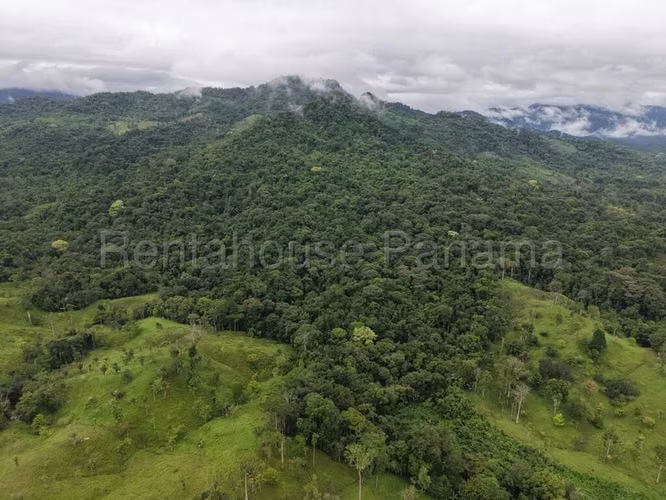 Terreno En Venta En La Pintada YM
