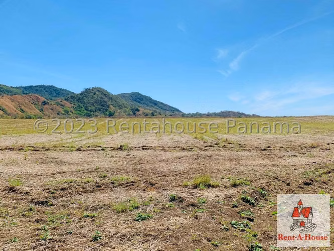 INVERSIONISTA VENDO Terreno Cambutal,  Tonosi, 77 Hectareas - Imagen 5