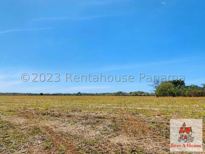 INVERSIONISTA VENDO Terreno Cambutal,  Tonosi, 77 Hectareas - Imagen 7