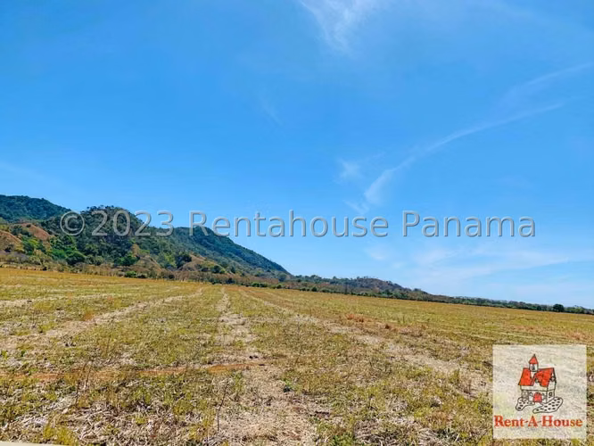 INVERSIONISTA VENDO Terreno Cambutal,  Tonosi, 77 Hectareas - Imagen 8