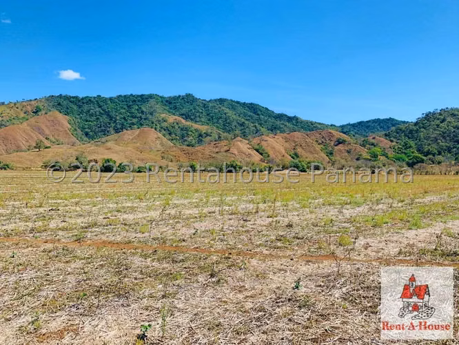 INVERSIONISTA VENDO Terreno Cambutal,  Tonosi, 77 Hectareas - Imagen 10
