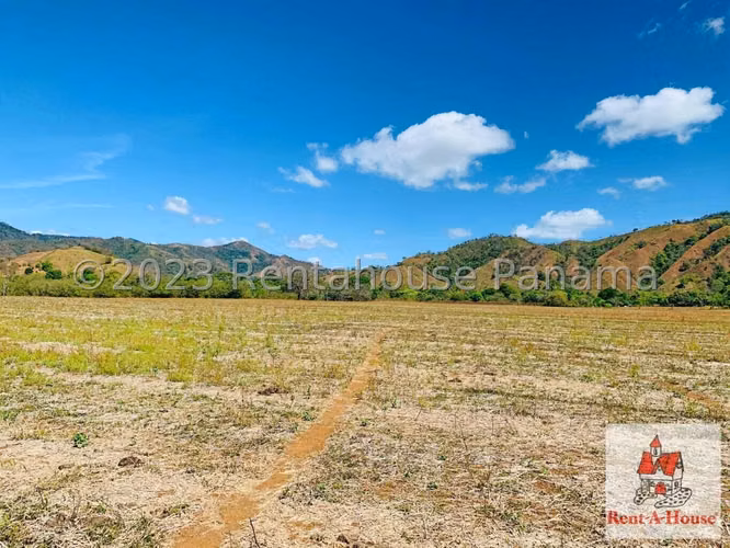 INVERSIONISTA VENDO Terreno Cambutal,  Tonosi, 77 Hectareas - Imagen 12