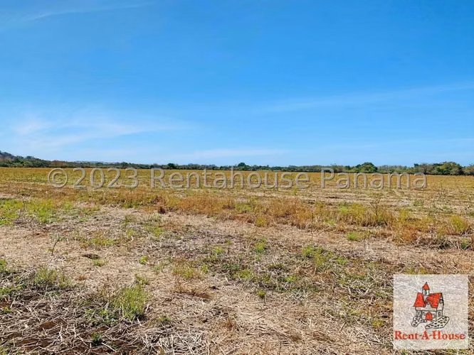 INVERSIONISTA VENDO Terreno Cambutal,  Tonosi, 77 Hectareas - Imagen 9