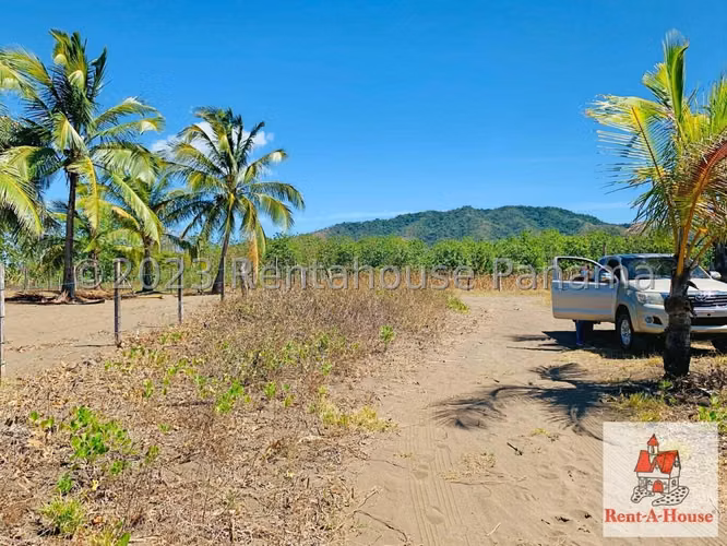 INVERSIONISTA VENDO Terreno Cambutal,  Tonosi, 77 Hectareas - Imagen 14