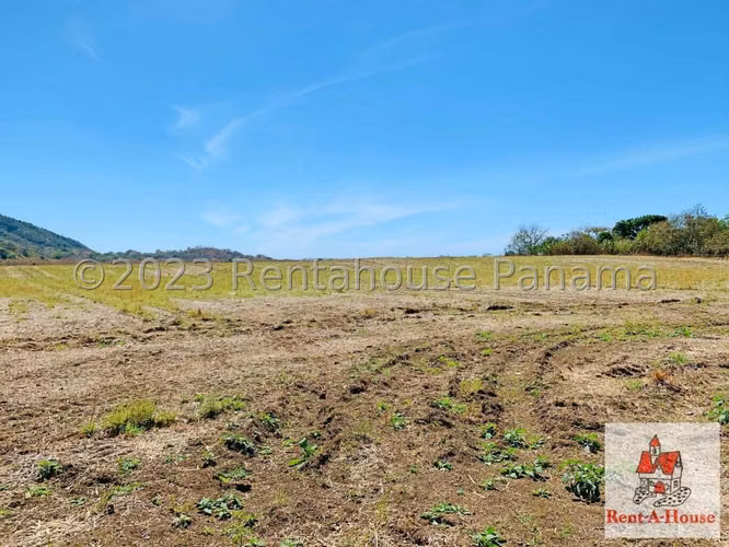 INVERSIONISTA VENDO Terreno Cambutal,  Tonosi, 77 Hectareas - Imagen 6